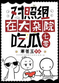 񼶽ʦ